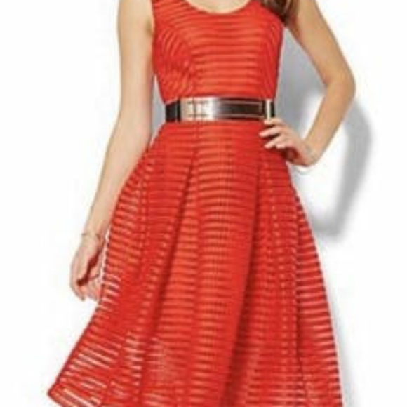 New York and Co Eyelet Orange Spring Dress Size 8 - Picture 1 of 9